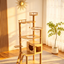 Floor-to-Ceiling Multi-Layer Solid Wood Cat Tree | Small Space Friendly • Double Space Pods + Enclosed Cat Condo • A Cat's Exclusive Vertical Playground